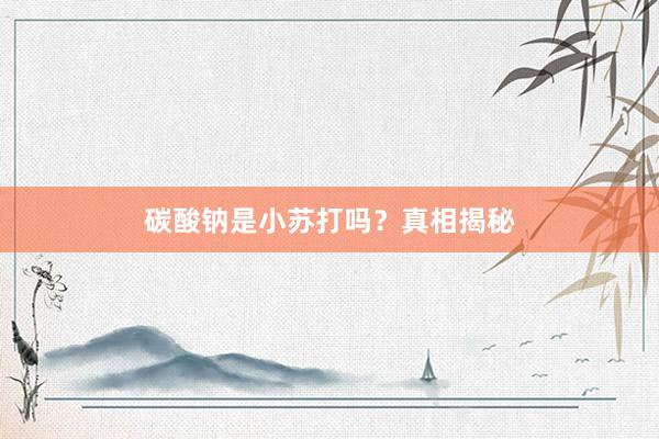 碳酸钠是小苏打吗？真相揭秘